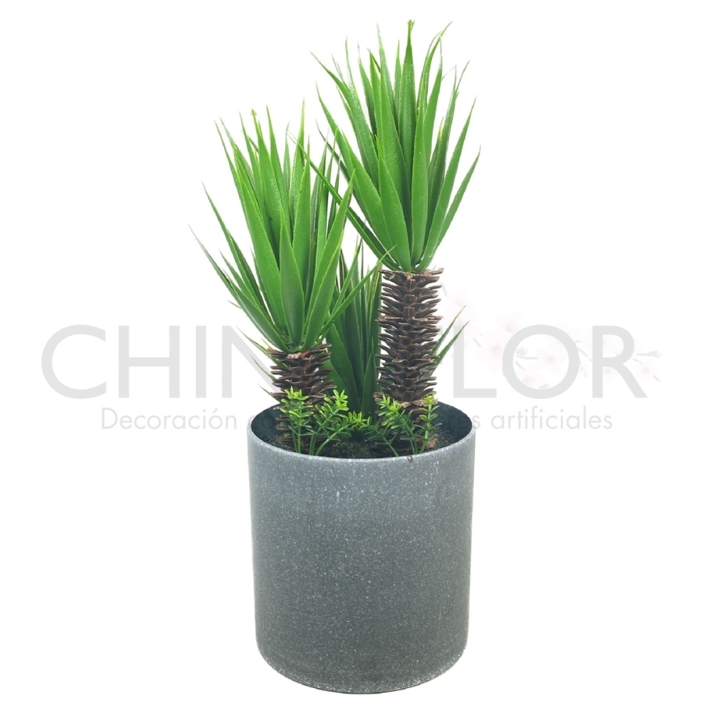 PLANTA CENTROS 35CM