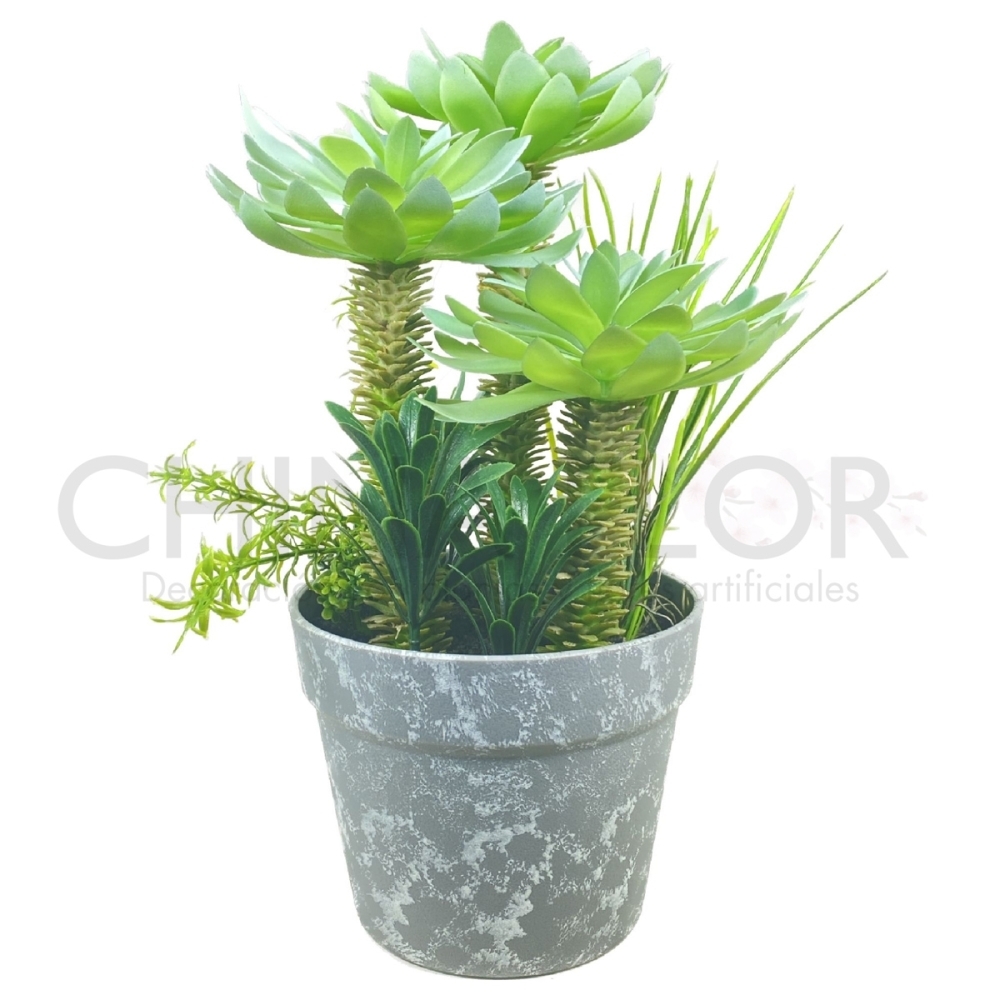 PLANTA CENTROS 35CM