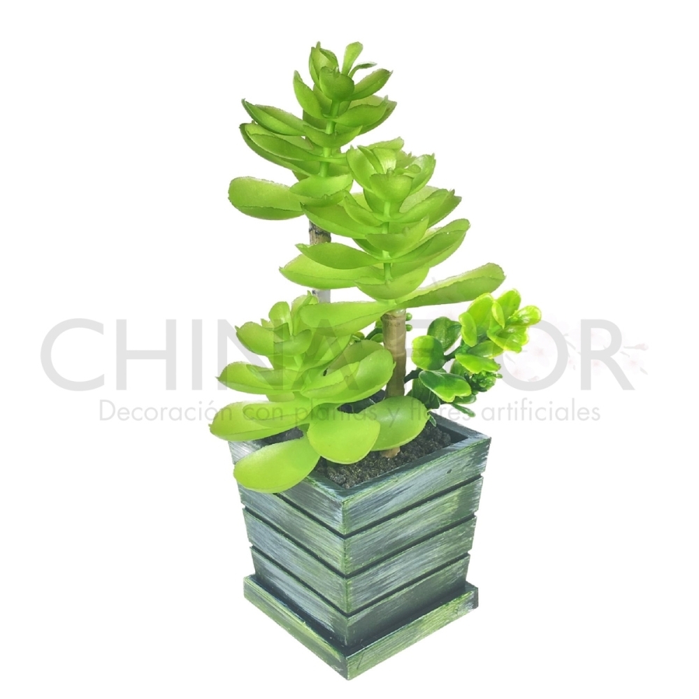 PLANTA CENTROS 23CM