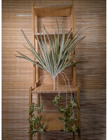 PLANTA VERDE AN.75CM