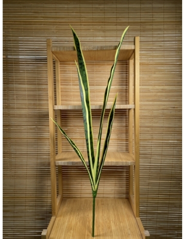 PLANTA VERDE LENGUA DE SUEGRA  72CM