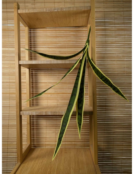 PLANTA VERDE LENGUA DE SUEGRA  59CM