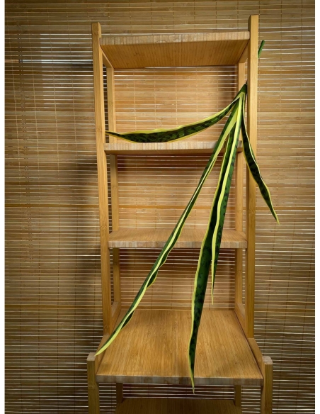 PLANTA VERDE LENGUA DE SUEGRA  72CM