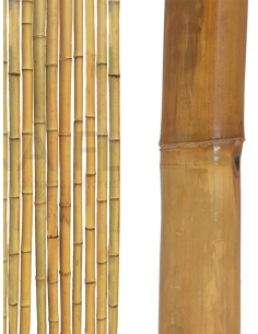 BAMBU ALT.180CM,ANCHO 6CM