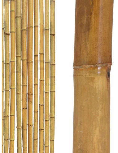 BAMBU ALT.180CM,ANCHO 6CM