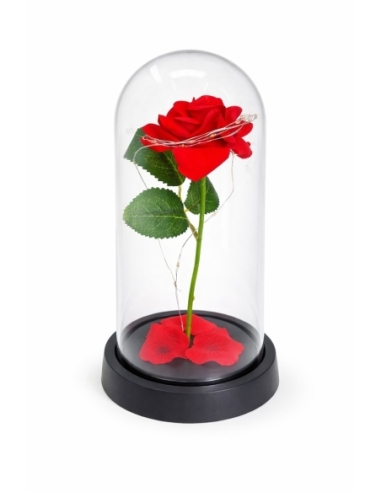 CUPULA+ROSA.FLOR