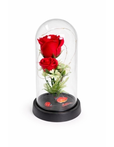CUPULA+ROSA