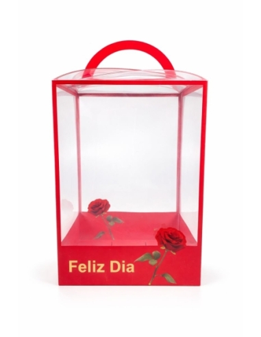CAJA PLÁSTICO ROSA FELIZ DIA 15*12*22CM