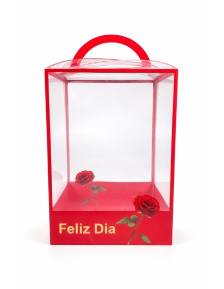 CAJA PLÁSTICO ROSA FELIZ DIA 15*12*22CM