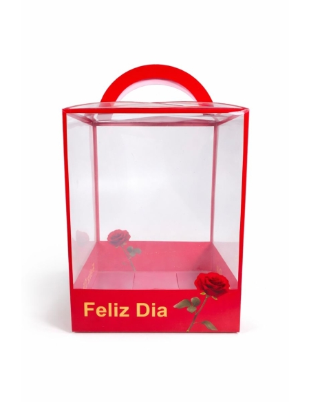 CAJA PÁSTICO ROSA FELIZ DIA 16*15*21CM