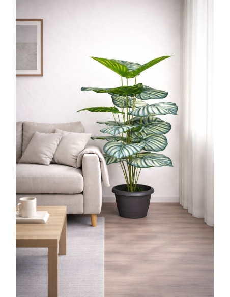 Calathea orbifolia artificial 110CM