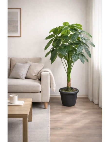 Pachira artificial  100CM