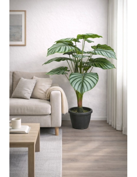 Calathea orbifolia artificial  90CM