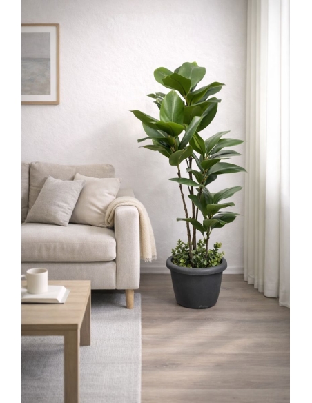 Ficus elastica artificial  90CM