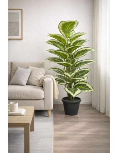 Aglaonema artificial  100CM