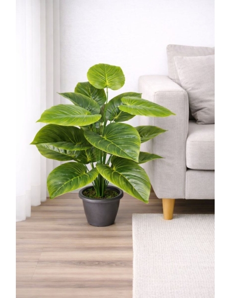 Philodendron artificial 65/70CM