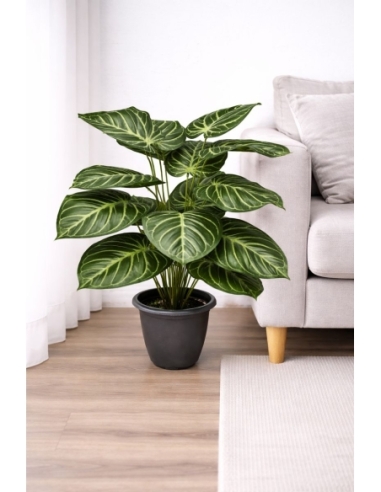 Alocasia artificial 70/75CM