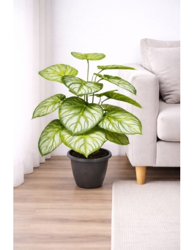 Aglaonema artificial 65/70CM