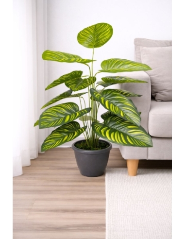 Calathea artificial 65/70CM