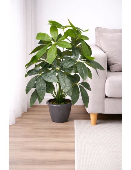 Schefflera artificial 65/70CM