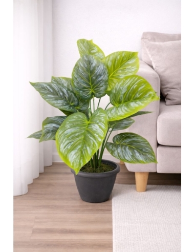 Philodendron artificial plateado  65/70CM