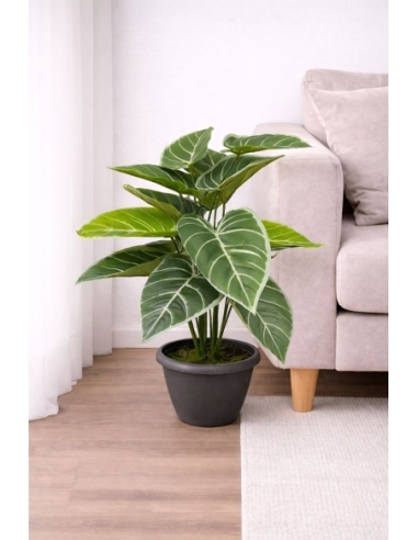 Alocasia artificial  65/70CM