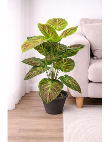 Caladium artificial  65/70CM