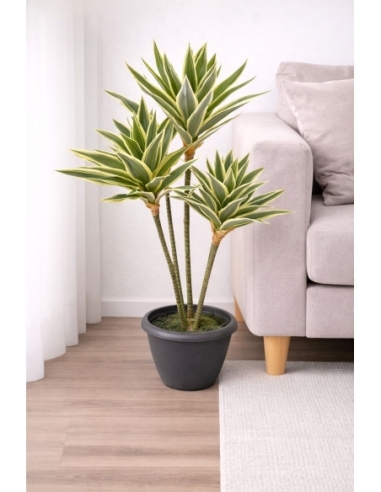 Drácena fragrans artificial  65/70CM