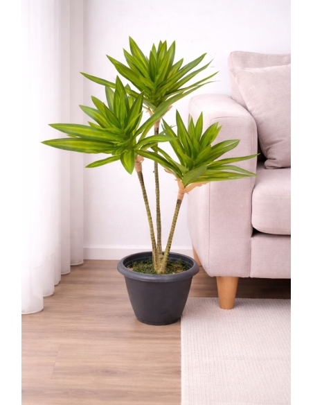 Drácena reflexa artificial  65/70CM