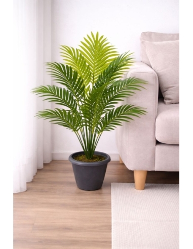 Dieffenbachia artificial  65/70CM