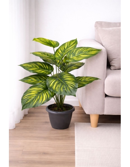 Caladium artificial  65/70CM