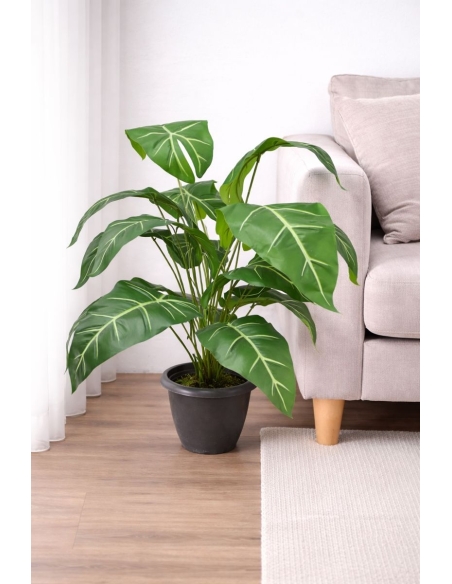 Alocasia artificial  65/70CM