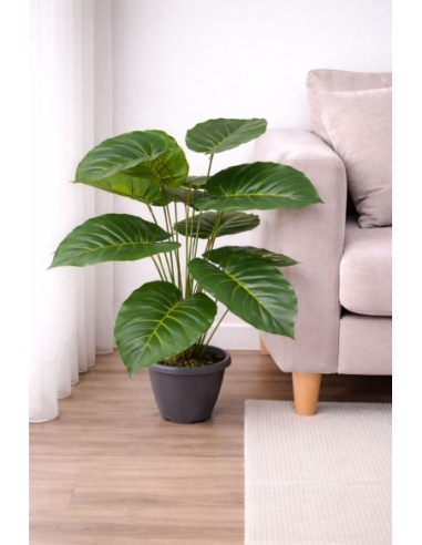 Philodendron artificial  65/70CM