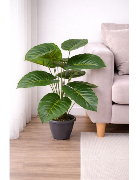 Philodendron artificial  65/70CM