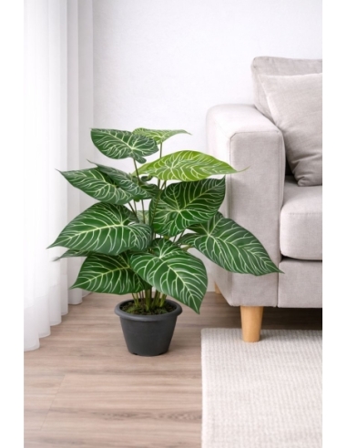 Alocasia artificial 65/70CM