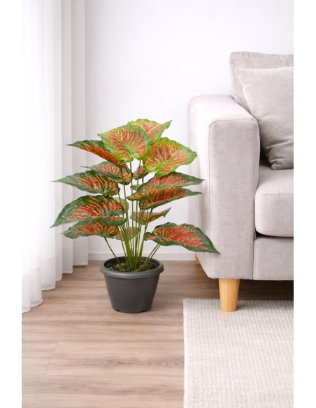 Caladium artificial  65/70CM