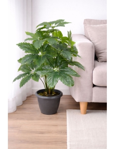 Fatsia japonica artificial  65/70CM