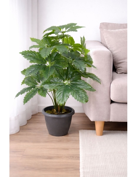 Fatsia japonica artificial  65/70CM