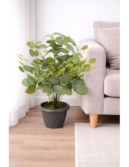 Eucalipto artificial  65/70CM