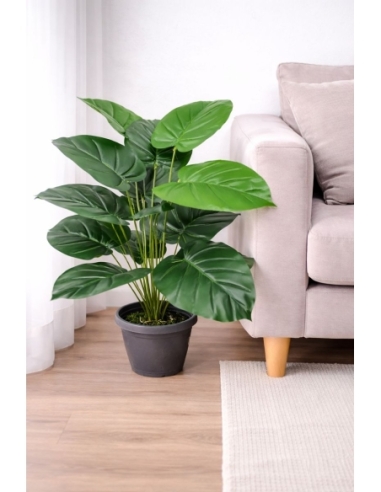 Anthurium artificial  65/70CM