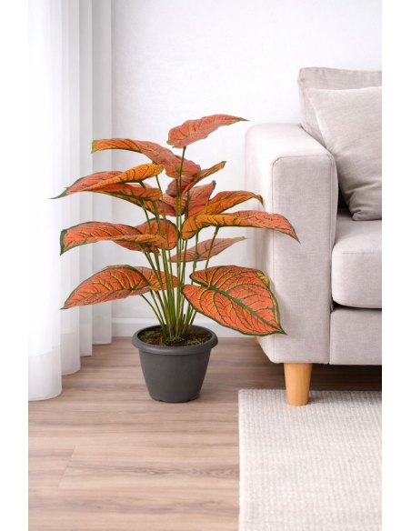 Aglaonema rojo artificial  65/70CM
