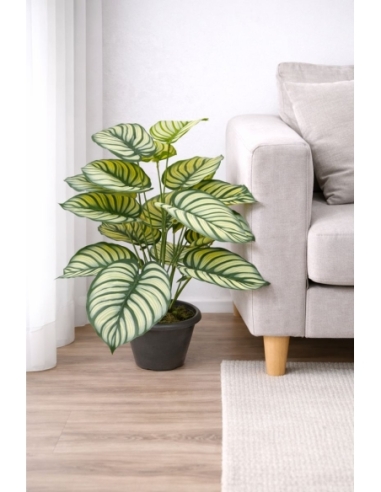 Calathea orbifolia  artificial  65/70CM