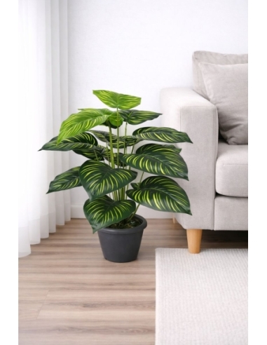 Dieffenbachia artificial 55CM