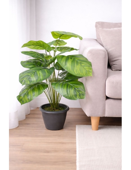 Calathea artificial 55CM