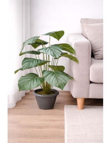 Calathea artificial 55CM