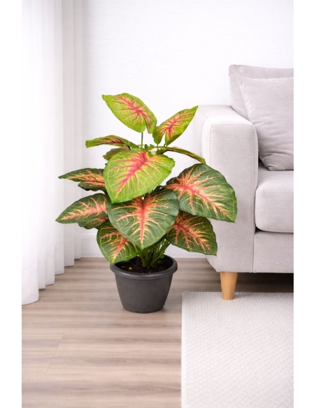 Aglaonema artificial roja 55CM