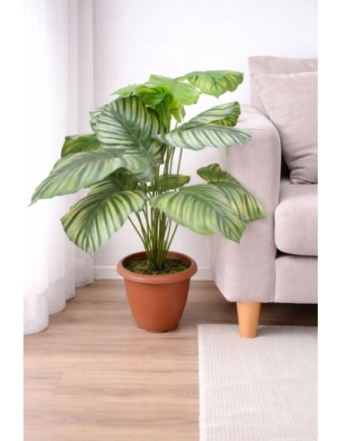 Calathea artificial 55CM