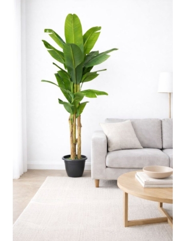 Platanera artificial 240CM