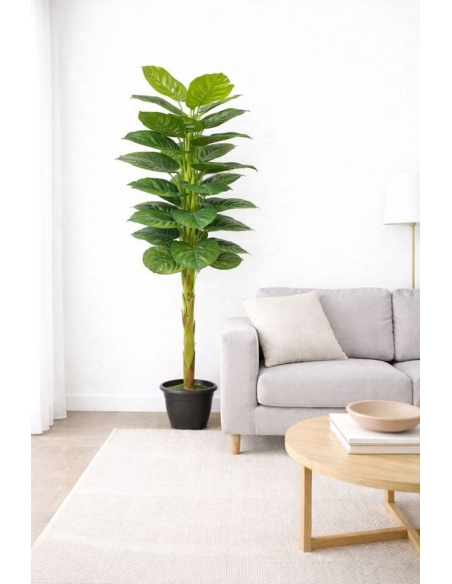 Ficus artificial  170CM