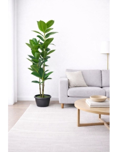 Ficus microcarpa artificial  170CM